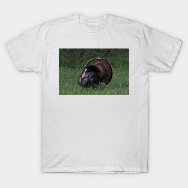 Spring Tom Turkey Strutting in green grass T-Shirt by ROBERTDBROZEK